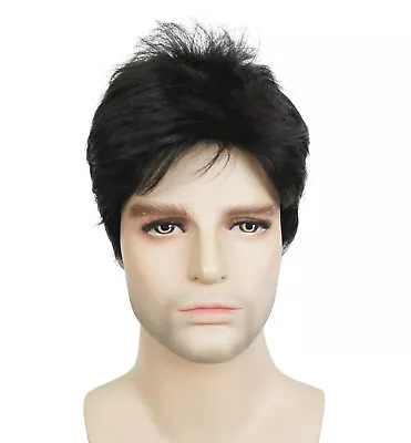 Mens Natural Short Straight Wigs Real Male Full Hair Wig Party Cosplay Toupee • $14.99