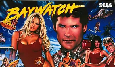 Sega Baywatch Pinball - V 4.01 GAME AND DISPLAY CODE UPDATES + 3 Chip Set! • $14.99