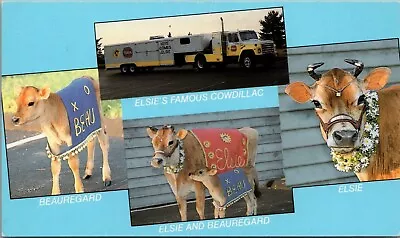 Vintage Elsie The Famous Borden Cow Postcard E385 • $9.99