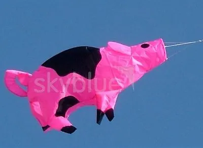 Pig Windock With Or Without A Flagpole For Garden Camping Festival • £13.99