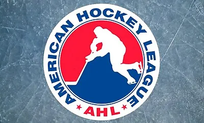 2023-24 AHL Minor Hockey Schedule Magnets 5  X 3.5 (Choose From List) • $4.99