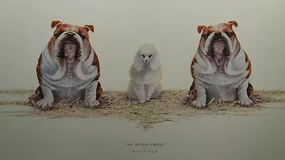 £19.95 • Buy The Managment By Warwick Higgs Poodle Bulldog