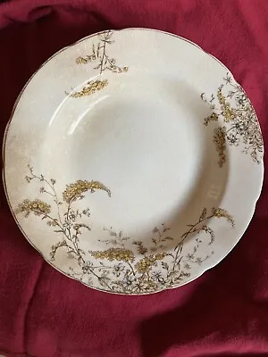 T & R Boote Ironstone Floral Rimmed Soup Bowl 9” • $9.99