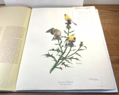 Ray Harm - American Goldfinch Signed Print 1965 Vintage Bird Art Plate #XV • $23.96