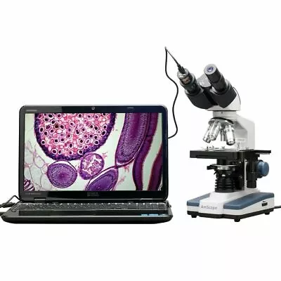 AmScope 40X-2500X LED Digital Binocular Compound Microscope 3D Stage USB Camera • £223.13