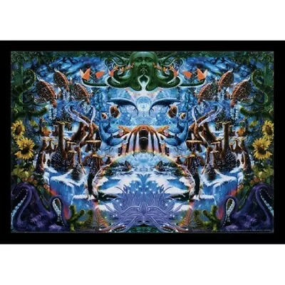 Biffle Octopus Garden (Blacklight Responsive) Poster  • $14.95