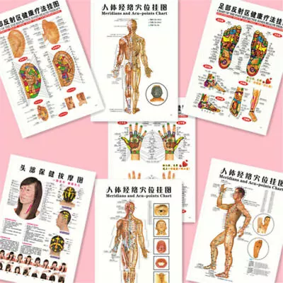 English Acupuncture Meridian Acupressure Points Posters Chart Wall Map 7Pcs/Set • $14.36