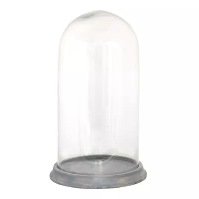 £43.99 • Buy Glass Display Cloche Bell Jar Dome Flower Preservation Vase Wooden Base H37cm 