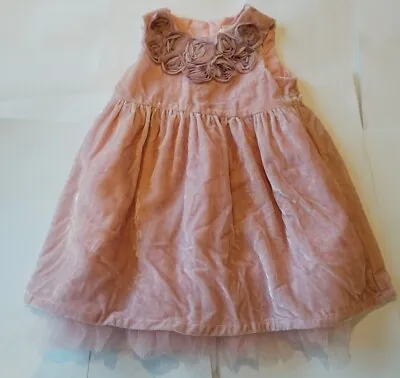 H&M Pink Velvet Dress With Rose Detailing & Netting Underskirt Age 12-18 Months • £6.99