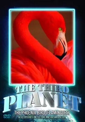 The Third Planet: The Phoenix Bird (Flamingoes) DVD (2013) Cert E Amazing Value • £5.26