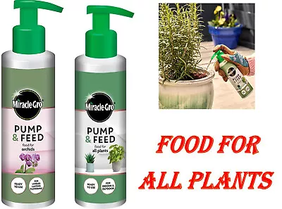 Miracle Gro Pump Feed Ready To Use All Purpose Food Plants Indoor Outdoor 200ml • £8.99