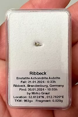 Meteorite RIBBECK - Latest Meteorite Fall - Rare Aubrite From Asteroid 2024 BX1 • £38.57