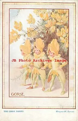 Margaret W Tarrant Medici Fairies Of The Countryside Gorse Fairies • $3.99