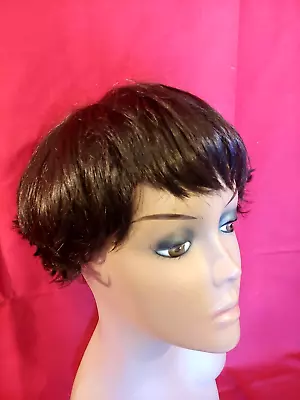 Lace Wig Sara Collection 100% Kanekalon Toyokalon Style Sally Color 2 • $21