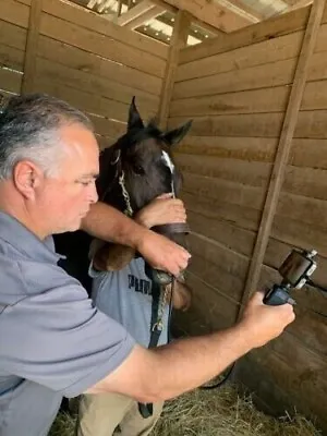 Veterinary 8mm X 3 Meter Horse Equine Gastroscope Video Endoscope I-phone Scope • $4499