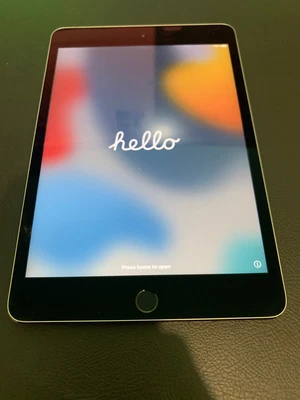 $220 • Buy Apple IPad Mini 4 Space Grey 128GB WiFi