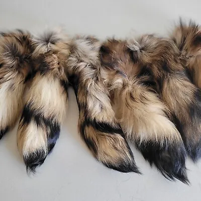 Finn Raccoon Tail Keychain Coon Tails Real Genuine Large On Chain 14-16 Inch • $16.95