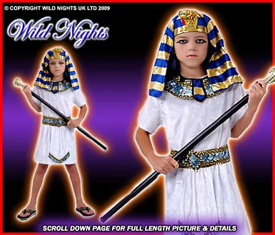 £12.95 • Buy Fancy Dress Costume Boys Egyptian Pharaoh Sm Age 4-6