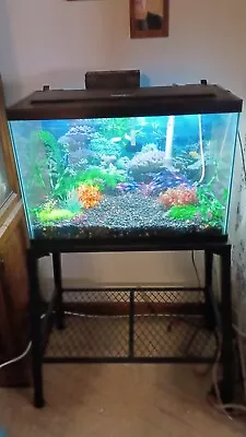 20 Gallon Fish Tank With Stand • $50