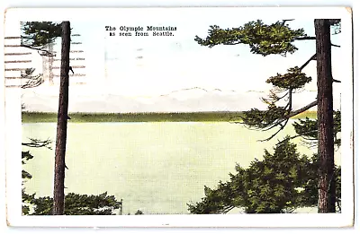 The Olympic Mountain Seattle Washington (1920) - Antique Postcard • £6.64