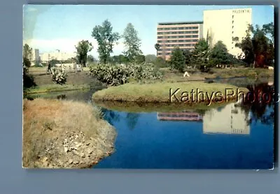 California Postcard A_6022 The La Brea Tar Pits In Los Angeles • $3.98