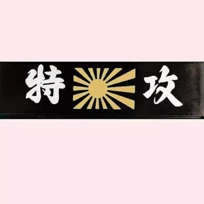 Japanese Head Band HACHIMAKI KANJI Series BLACK TOTUKO • $14.99