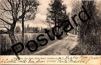 1905 Pine Tree Inn From Lake Road Lakehurst NJ Rotograph Co. Postcard Jj200 • $8.50