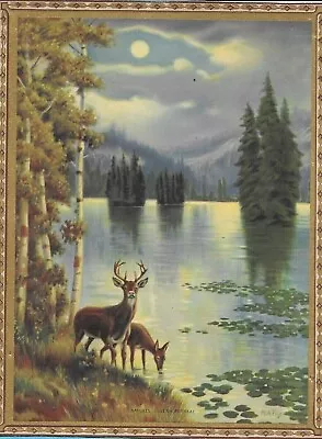 R. Atkinson Fox Deer Water Trees Moon Original Print 10.25 X7.75  1920s • $79.99