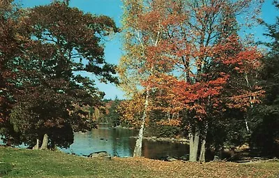 Postcard Autumn Lake Of Bays Muskoka • $4.75