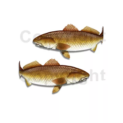 Redfish Sticker Decal Fishing RV Boat Car Truck Camper Trailer F055 2 Pack • $2.99