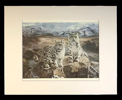 Charles Frace'   SECRET HEIGHTS  11 X 14 Matted Snow Leopard Cubs Wildlife Print • $25.99