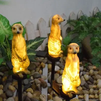 Garden Ornament Meerkat Solar Powered Lantern Decorative Animal Light Up LED • £16.27