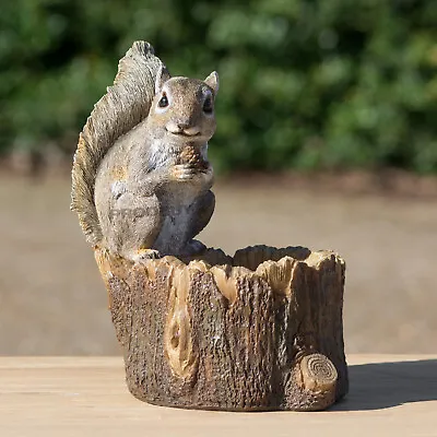 Squirrel Feeder Resin Outdoor Garden Ornament Statue Bird Feed Food Animal Lawn • £28