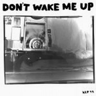 The Microphones Don’t Wake Me Up Vinyl LP Record & MP3! Mount Eerie! Indie! NEW! • $23.49