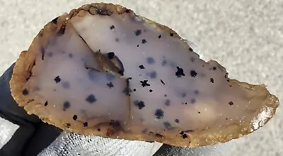 65g Dendritic Agate Rough Slab End Cut Cabbing Lapidary • $10.50