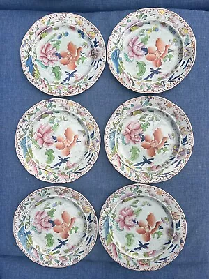 1813-1820  Mason's Patent Ironstone China Floral Pattern - Set Of 6 - 8  • $75