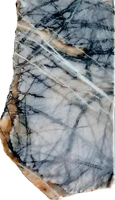 Excellent Picasso Marble - Jaspers  Solid  Slab Rough Rock For Cabbing Lapidary • $22.50