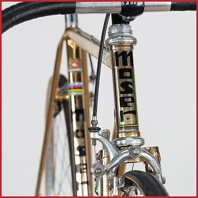 Moser Gold Plated Oro Campagnolo Super Record Steel Lugs Vintage Old Road Racing • $5999