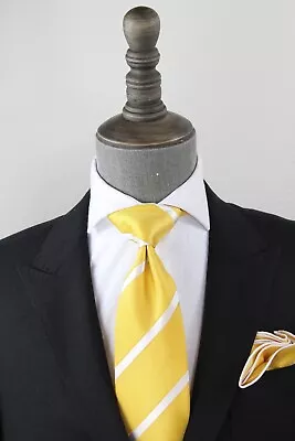 Power Stripe - 100% Silk Tie And Hanky • $24.99