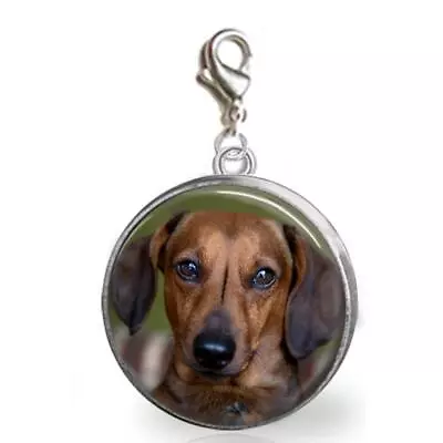 Dachshund Dog Glass Top Clip On Charm Handmade Jewelry Bracelets Purse Charm • $9.95