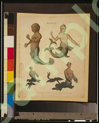 Photo:Mermaids1817 • $9.99