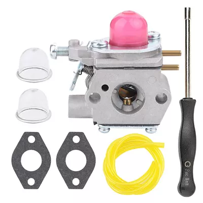 🔥 Carburetor Kit For Bolens BL110 BL125 BL160 Blower Trimmer MTD 753-06190 • $11.69