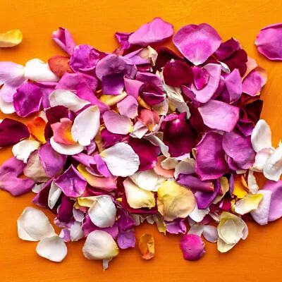 Freeze Dried Edible  Natural Rose Flower Petals  Multicolor Wedding Decoration • £11.49