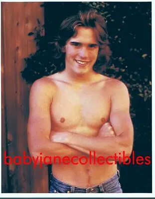 MATT DILLON SHIRTLESS YOUNG BEEFCAKE COLOR Photo #3 (807) • $14.99