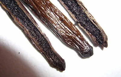 10 Madagascar Grade A Organic Gourmet Vanilla Beans 6  • $17.99