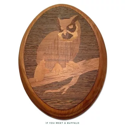 Vintage Marquetry Wood Owl Inlay 9x6.5” Wall Art OWLS Picture Grandma Grandmilli • $36