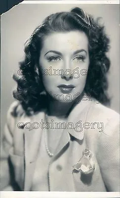 Gorgeous Brunette Actress Marguerite Chapman Press Photo • $15