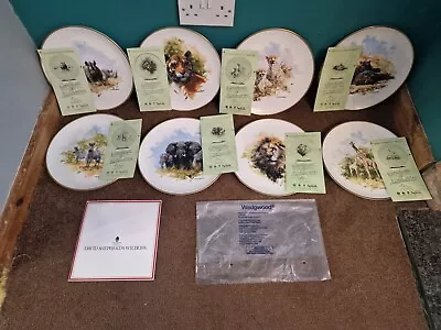 X8Wedgwood David Shepherd Wildlife Collection Certificate Plates Limited Edition • £95