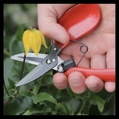 Darlac Floral Shear Secateurs Flower Arranging Chipping Cutting Compact DP830  • £10.99