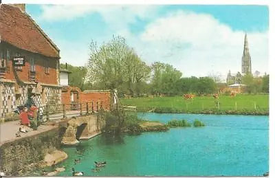 Genuine 1980's Postcardsalisbury Cathedral From Harnham Hillwiltshirerp1983 • £2.49